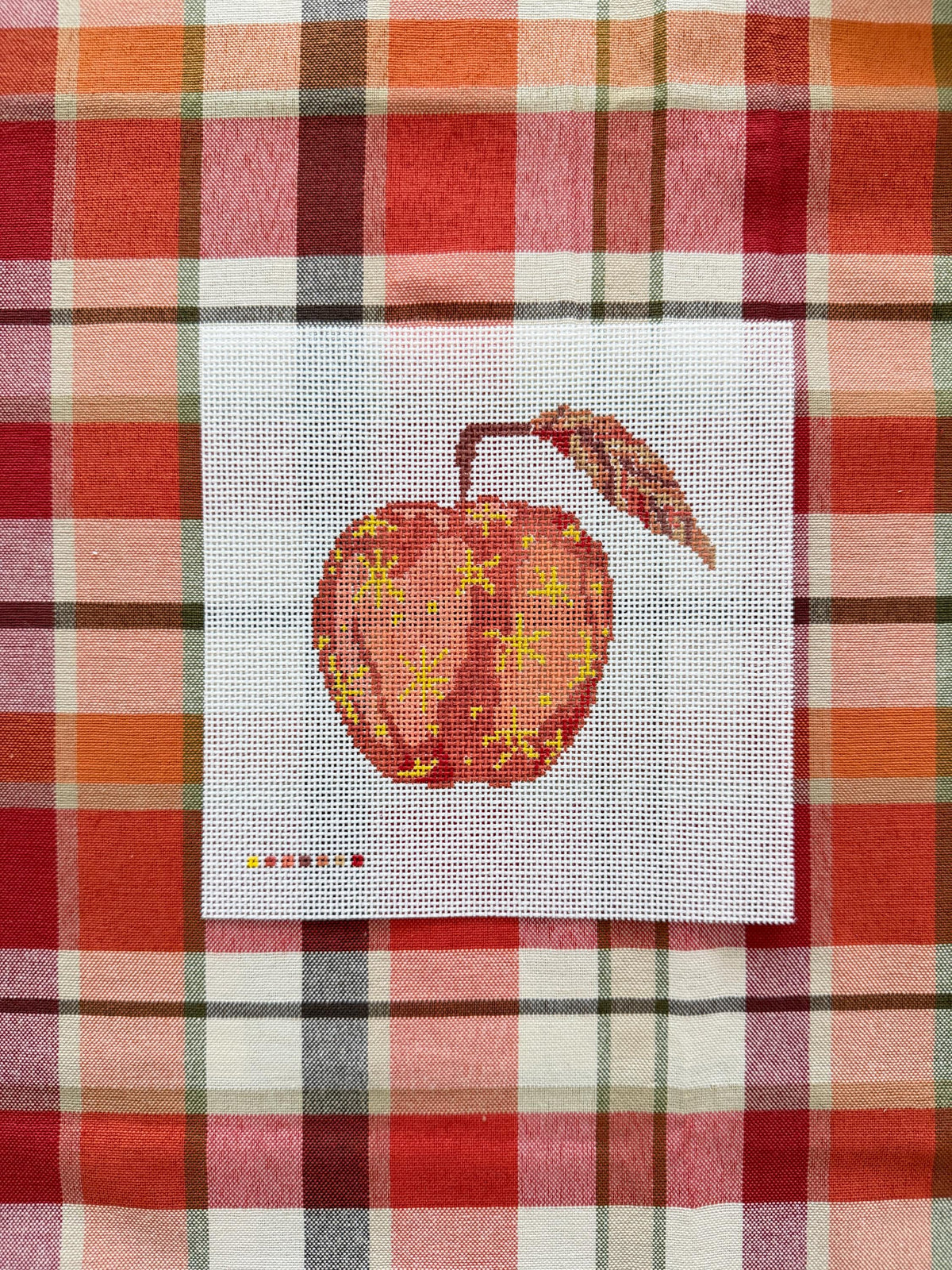 Red Remarkable Apple Needlepoint Canvas